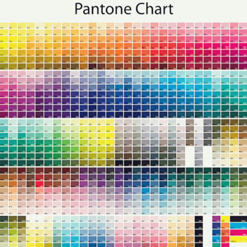 تست گالری تصاویر